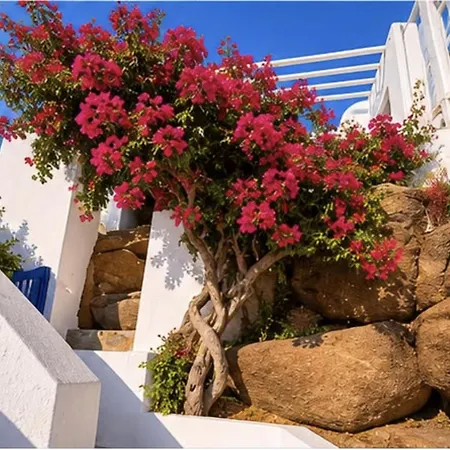 Yalos Mykonos 3 Bedroom Luxury In Mykonos Town With Sea & Sunset View Holiday home